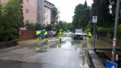 viale Fusinieri