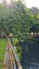 sopralluogo giardino salvi